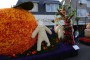 Thumbs/tn_Bloemencorso 2015 004.jpg